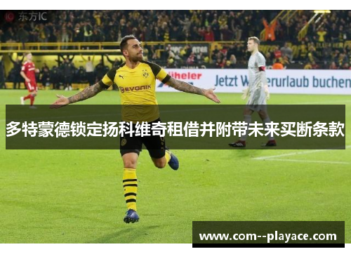 多特蒙德锁定扬科维奇租借并附带未来买断条款