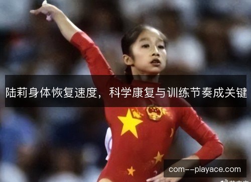 陆莉身体恢复速度，科学康复与训练节奏成关键